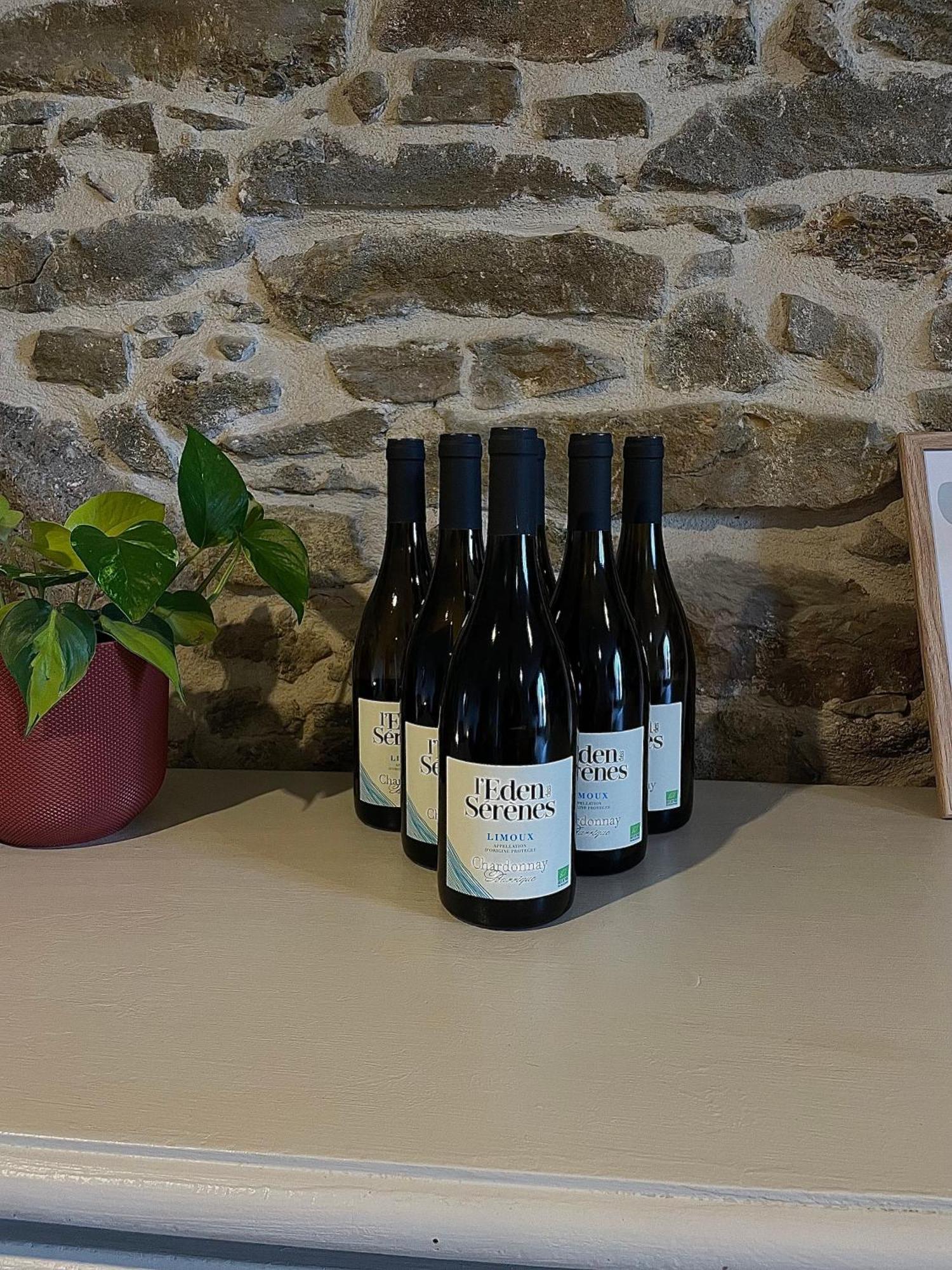 Chez Pauline & Vincent Cote Canal Carcassonne Eksteriør billede