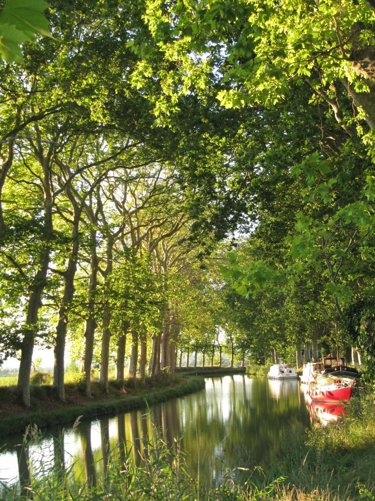 Chez Pauline & Vincent Cote Canal Carcassonne Eksteriør billede